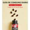 JUNG KWAN JANG US Cápsulas de extracto de ginseng rojo
