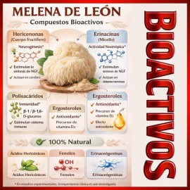 Hongo Melena De León Adaptógeno Líquido Alta Concentración                                                                                            