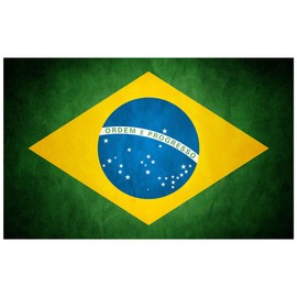 Brazilian Flag Sticker Grunge 5x3 Inch Brazil Bumper Laptop Decal