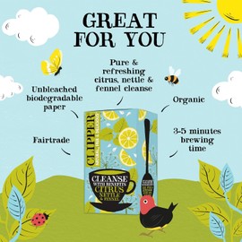 Clipper Organic Citrus, Nettle & Fennel Tea | 80 Cleanse with Benefits Infusion Teabags (4x Boxes of 20) | Bulk Buy, Home & Catering | Caffeine-Free Herbal Tea | Natural, Unbleached & Biodegradable