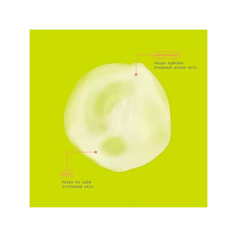Freeman 수박 및 알로에 젤 페이셜 마스크 6 oz Freeman