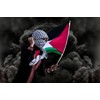 ANCONINE Palestine Flag 3x5 FT,Palestinian National Flags with 2 Brass