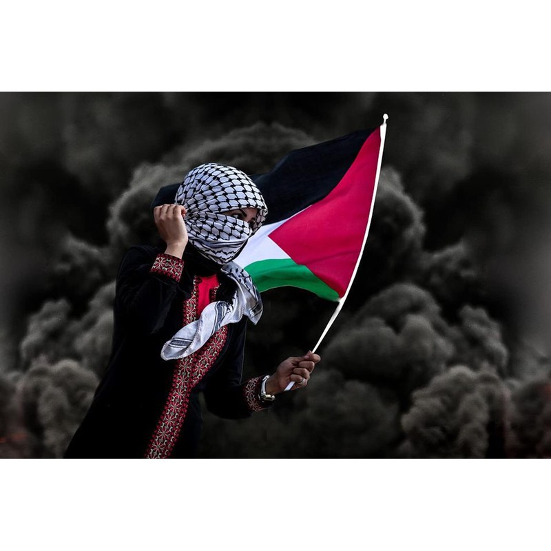 ANCONINE Palestine Flag 3x5 FT,Palestinian National Flags with 2 Brass