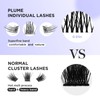 BEYELIAN Cluster Lashes, DIY Eyelash Extension Lash Clusters Individual False