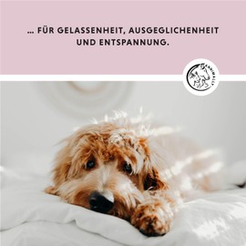 Annimally Dog Relax Tablets - Feel-Good Tablets for Dogs with Valerian, St. John's Wort, L-Tryptophan, 120 Tablets for Anxiety, Stress & for Travel - High Acceptance