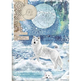 STAMPERIA INTL Stamperia-Rice Paper, Wolf, Arctic Antarctic, A4