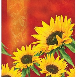Creative Converting Plastic Banquet Table Cover in Solid Border Print, Sunflower Style, Orange/Yellow/Green