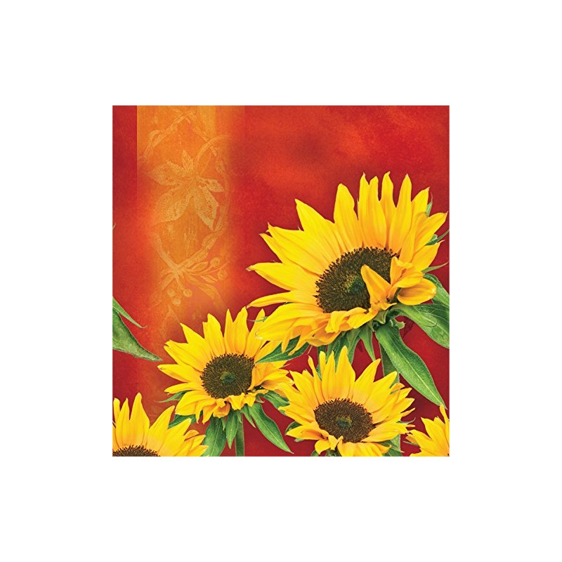 Creative Converting Plastic Banquet Table Cover in Solid Border Print,