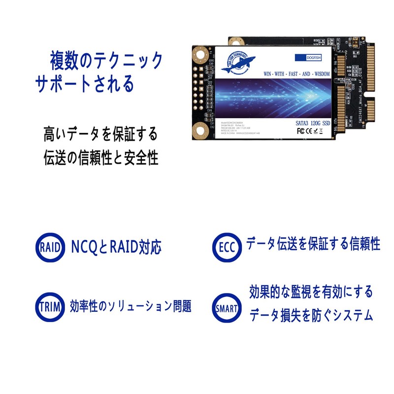 Dogfish Msata 256GB Internal Solid State Drive Mini Sata SSD