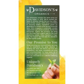 Davidson's Organics, Ayurvedic Infusions, Energize, 25-count Tea Bags, Pack of 6