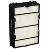Holmes True HEPA Filter with Enhanced Mold Fighting Power, 2-Pack,