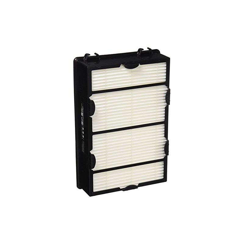 Holmes True HEPA Filter with Enhanced Mold Fighting Power, 2-Pack,