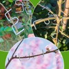 NYZQIW Pack of 30 Branch Pullers for Fruit Trees, Branch