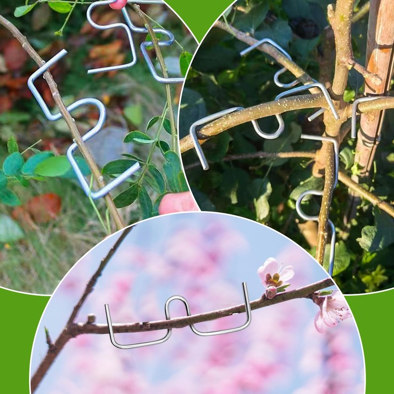 NYZQIW Pack of 30 Branch Pullers for Fruit Trees, Branch
