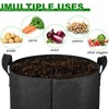 OPPOLIFE 4-Pack 10 Gallon Potato Grow Bags with Flap Window,