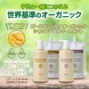 World Standard Organic Golden Silk Organic Shampoo Treatment [95% Naturally