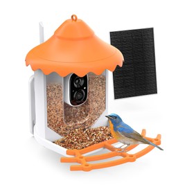 Smart Bird Feeder Camera with AI Identify Bird Species, Wild Bird Watching Cam, Live View, Instant Notifications, 5W Solar Panel