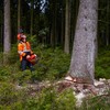 Oregon Pro Chainsaw Felling Wedge, 19 cm Forestry Wedge Made