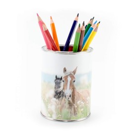 Pencil Cup Horses Including 12 Triangular Colouring Pencils, Children's Pen Holder, Pen Holder, Desk Organiser, Girls, Boys