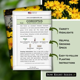 Sow Right Seeds - Dwarf Lance-Leaved Coreopsis Flower Seeds for Planting - Perennial with Daisy-Like Yellow Blooms - Non-GMO Heirloom - Full Instructions to Plant a Wildflower Garden - Great Gift (1)