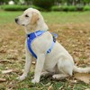 Lucky Hank Dog Harness for Medium Dogs No Pull, Adjustable