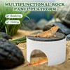 Swirge Basking Platform for Bearded Dragons, Bearded Dragon Hideout, Reptile