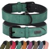 Didog Soft Padded Leather Dog Collar, Breathable Heavy Duty Dog