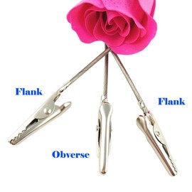 H&W 50 Pack Metal Wire Alligator Clamp, 4'' Long-Tailed Alligator Iron Clip, Stand Photo Holder Stand Memo Clip (WE1-D1)