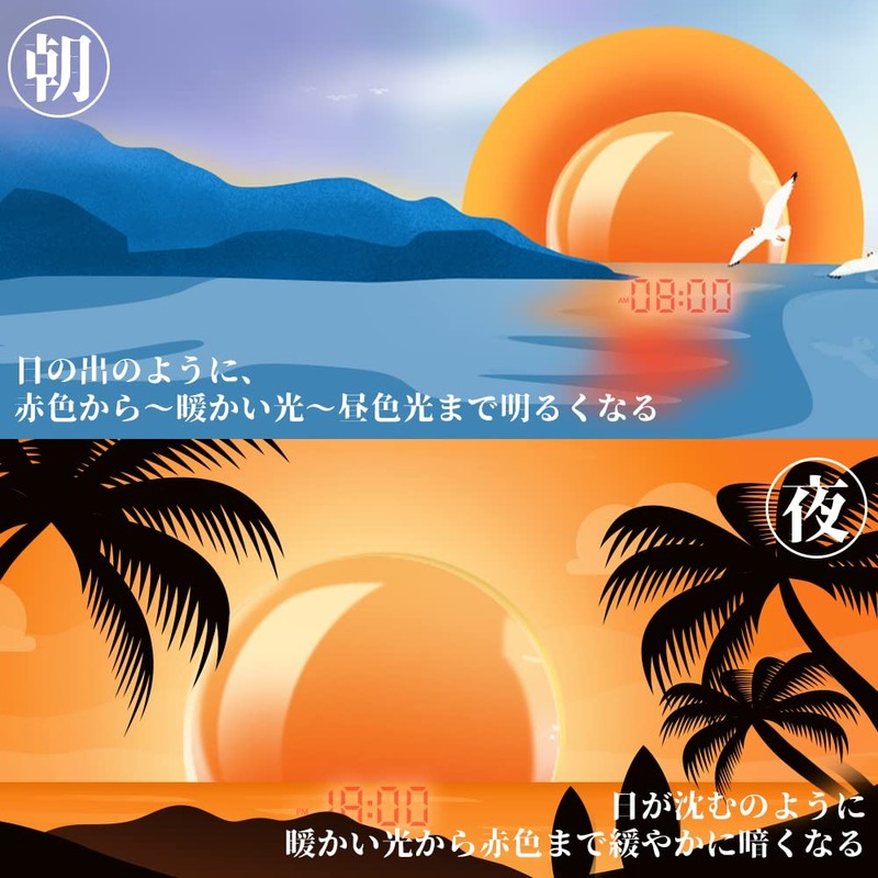 Alarm Clock Light Loud Alarm Light Digital Snooze & Radio