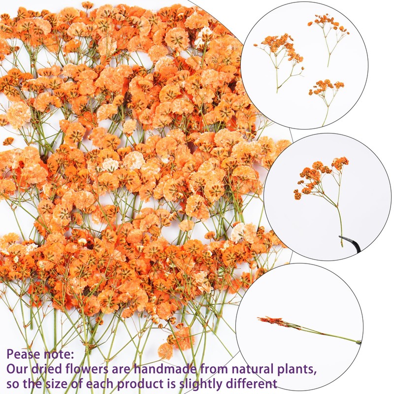 50Pcs Babys Breath Dried Pressed Flowers for Crafts,Xinxinran Orange Dry