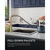 FORIOUS Gold Kitchen Faucet with Pull Down Sprayer, Stainless Steel
