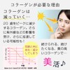nichie フィッシュ コラーゲン 100% 一番抽出 低分子 パウダー ベーシック 500g
