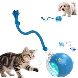 Petayouj Interactive Cat & Small Dog Toy Ball - Advanced Smart Obstacle Avoidance System with Auto-Wake Motion Sensor, Bird Chirps & 3-Speed Adjustable, cat Toys for Indoor Cats - Blue