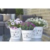 Klocke Pflanzgefäße Beautiful Zinc Planter - Home & Garden -