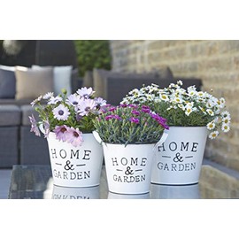 Klocke Pflanzgefäße Beautiful Zinc Planter - Home & Garden - Indoor & Outdoor - Frost-Proof - White Zinc Pot/Zinc Planter/Flower Pot/Table Decoration