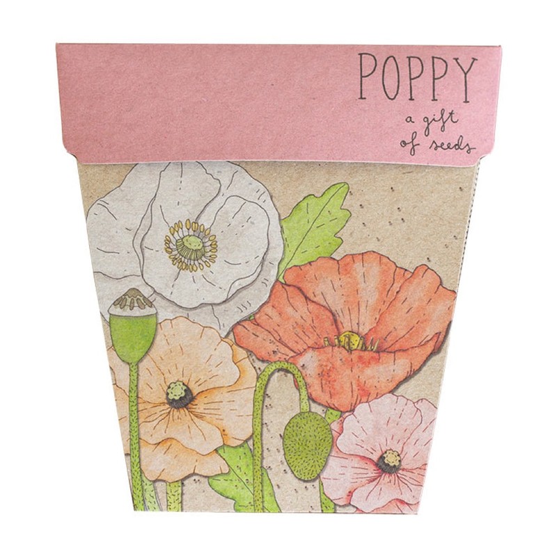 SOW 'N SOW Gift of Seeds - different styles, Poppy