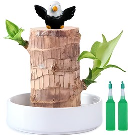Brazilian Lucky Wood Plant,Fortune Brazil Wood Potted Plant with Eagle Figurine,Mini Brazil Decoration, Desk Decor for Home & Office Desktop Planter