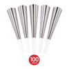 Showtime Silver Asst for 100 Party Accessory (1 count)
