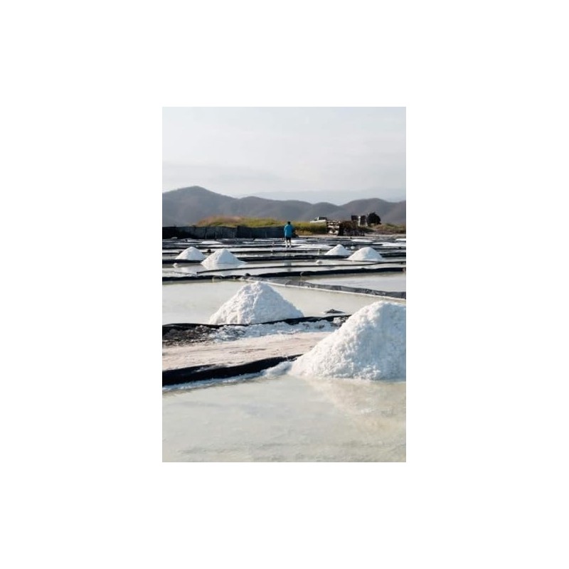 Flor De Sal Natural Artesanal Salineros Cuyutlán Colima 1kg