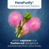 Suplemento Nutricional Well Of Life ParaPurify 120 Cpsulas Veganas