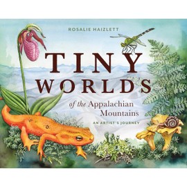 Tiny Worlds of the Appalachian Mountains: An Artist's Journey