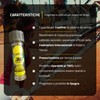 Pascal Box - Pressurizzatore per palline da padel e da