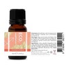 ECO. Modern Essentials Sagittarius Zodiac Sign Essential Oil Blend, 10ml