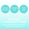 Zevo Fly Trap 2+2 Refills Plug-In UV Light Gnat &