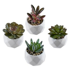 MyGift Juego de 4 Suculentas Artificiales en macetas de cerámica geométrica Color Blanco