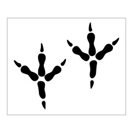 Bird Foot Prints Stencil Chicken Rooster Hawk Feet Claw Design 8" x 10" Reusable Plastic Sheet S1229