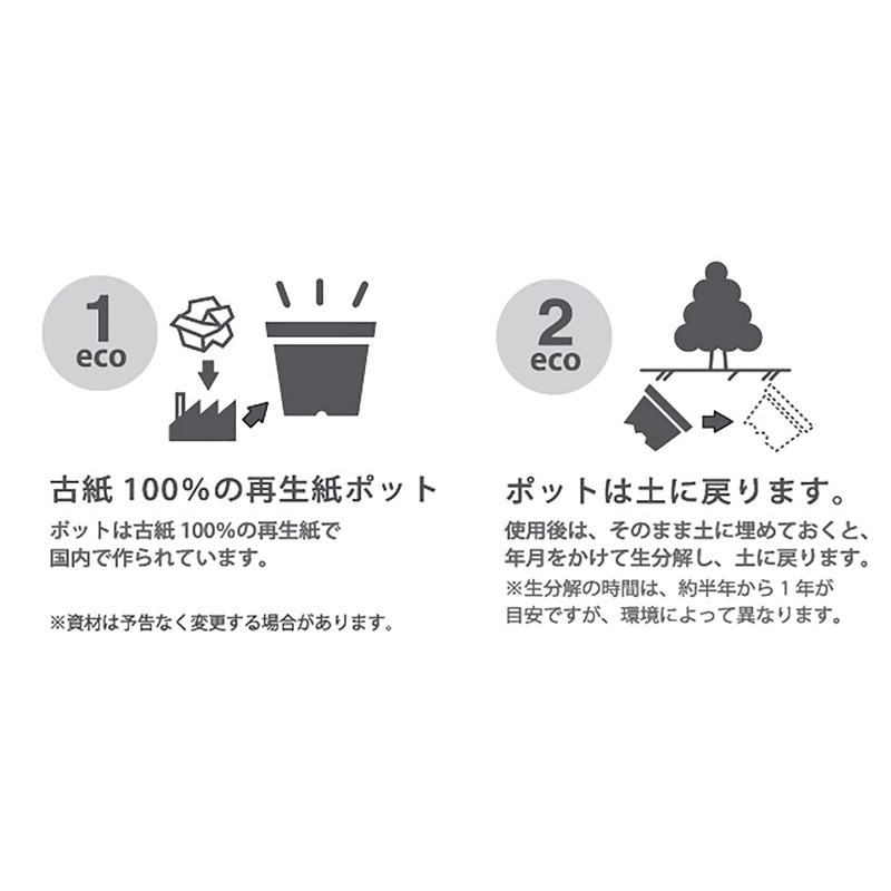 Ecot Planting Kit and Pot