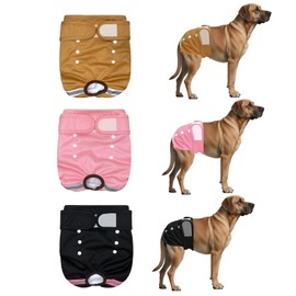 ROEOWENE 3pcs Wiederverwendbare Hundewindeln für Hündinnen M Waschbare Hundewindeln Hochsaugfähige Physiologische Hosen Hunde Höschen Läufigkeitshose für Hündinnen Waschbar für Inkontinenz,Läufigkeit