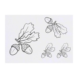 4 x 'Acorns' Temporary Tattoos - Water Resistant, Skin-Safe, Non-Toxic Transfers, Mixed Sizes (TO00036169)