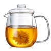 IwaiLoft IL-G1968 Handmade Heat Resistant Glass Tea Pot with Tea